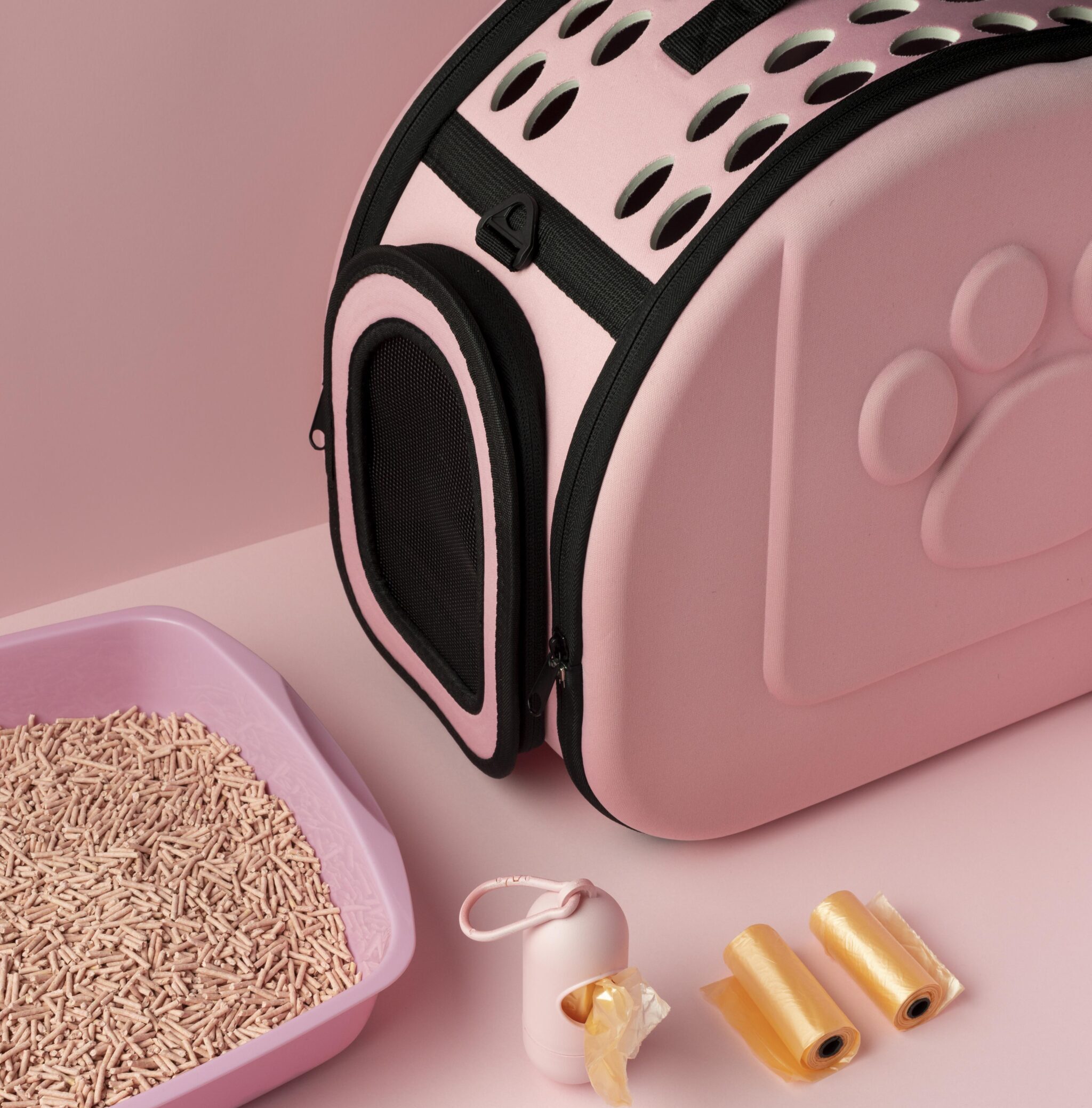 cute-pet-bag-arrangement-scaled-e1734623818122