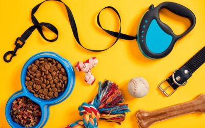 3 productos que tienes que tener para darle el mejor cuidado a tu mascota